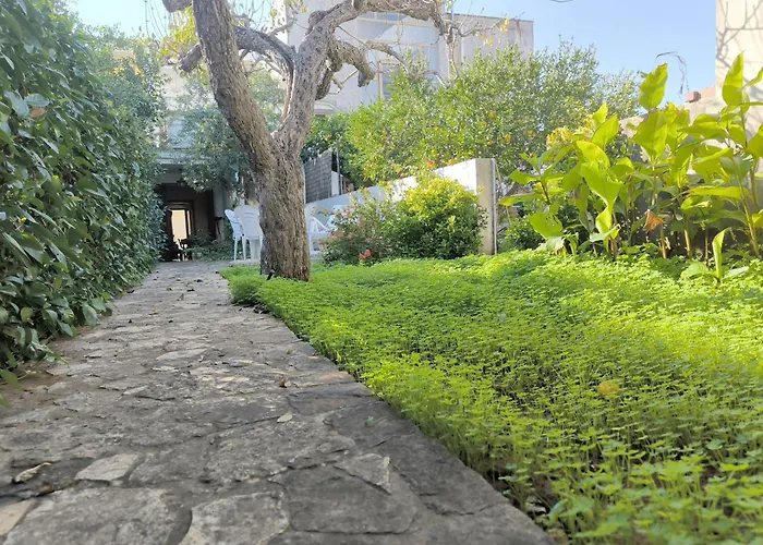 Le Arcate Puglia On Line *