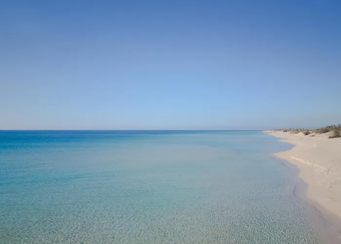 Le Arcate Puglia On Line